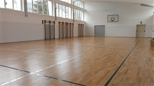 Palestra scolastica