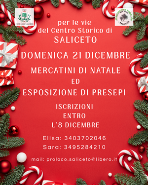 Mercatini di Natale e Mostra dei Presepi 2025