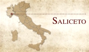 Benvenuti a Saliceto!